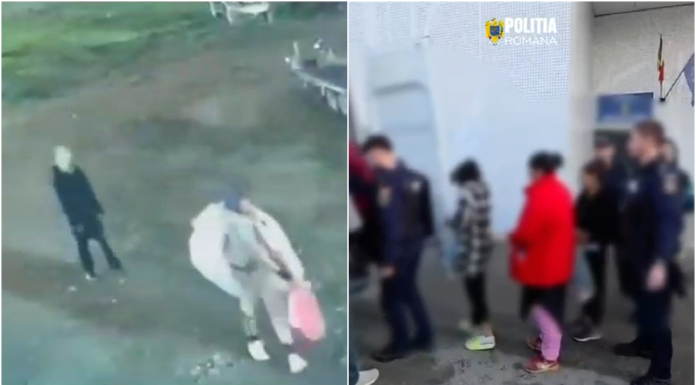 Jaf neobișnuit în Capitală: bujori de 20.000 de euro, furați dintr-o seră. Suspecții au fost prinși în flagrant de polițiști