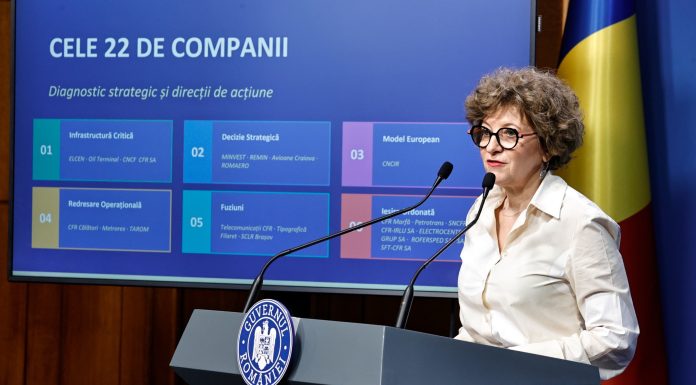 Oana Gheorghiu: „Există o conductă sub pământ, pe care hoții au demontat-o și totuși statul plătește mii de euro în fiecare an”