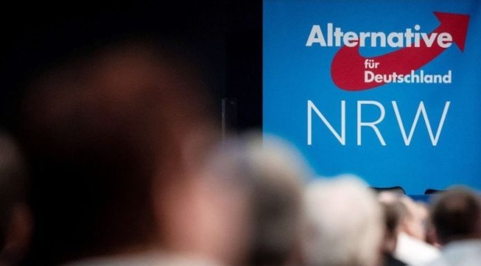 Extrema dreaptă câştigă popularitate în Germania, în timp ce cancelarul Friedrich Merz pierde teren