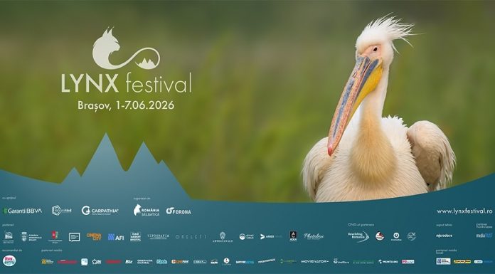 Natura este vedetă de cinema la a patra ediţie LYNX Festival de la Braşov/ Zece filme, cinci expoziţii, două masterclass-uri, în program
