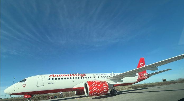 AnimaWings lansează noi rute din România