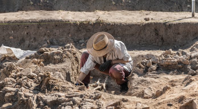 Misiunea arheologică care a dus la o descoperire uimitoare în Egipt. Ce s-a găsit în provincia Minya. FOTO