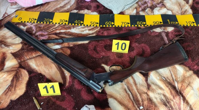 Bărbat împuşcat mortal de luptători SAS Neamţ după ce a tras asupra lor cu o armă de vânătoare/ Poliţiştii veniseră la locuinţa sa sesizaţi că şi-ar fi ameninţat cu moartea soţia şi socrii, dacă femeia şi cei trei copii nu se întorc acasă