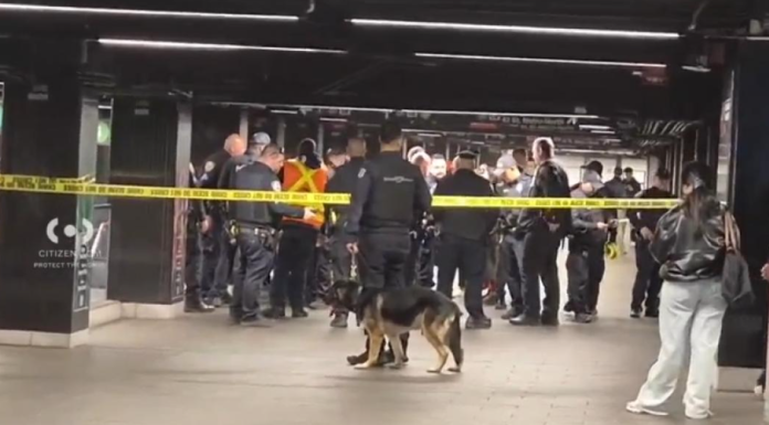 Un american, „Lucifer”, a înjunghiat trei bătrâni cu o macetă în stația de metrou Grand Central din New York. Poliția l-a executat pe peron