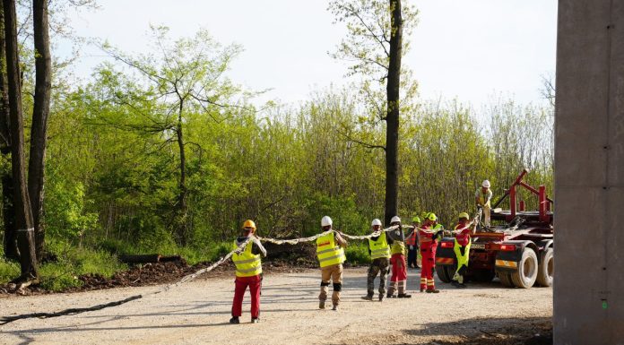 FOTO Peste 760 muncitori aduși pe un lot al Autostrăzii Bucureștiului. "Menținem presiunea și sprijinul pe și pentru constructor."