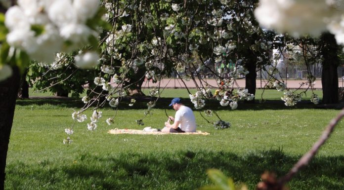 Meteorologii anunță cum va fi vremea în minivacanța de 1 Mai. Estimări pentru următoarele patru săptămâni