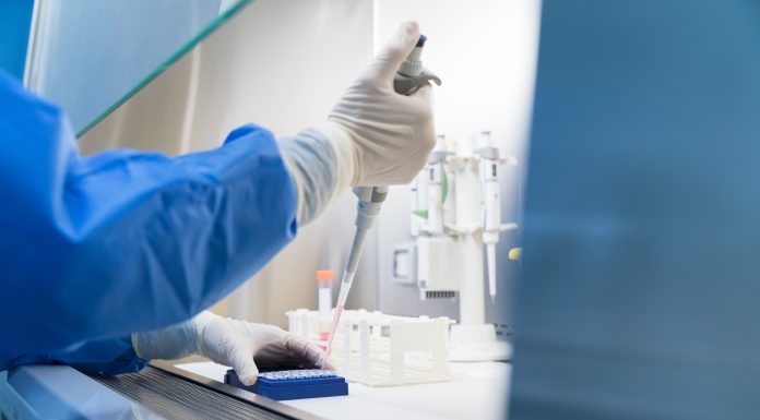 Rolul microbiomului intestinal, al diversității bacteriene și al alimentației în reglarea imunității și metabolismului