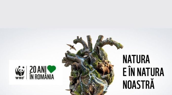 Colaborare pentru natură rezilientă: 20 de ani de impact WWF-România
