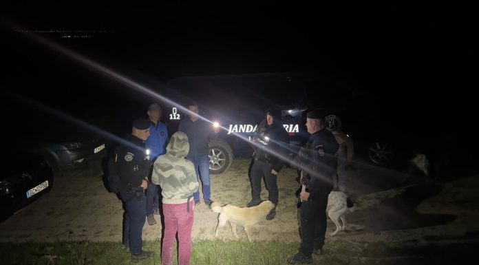 Bacău: Bărbat care plecase să îşi caute animalele şi care s-a întâlnit cu un urs, ajutat de jandarmi