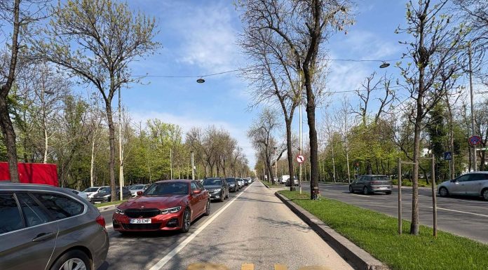 Primăria Capitalei a dat liber la autobuze între Arcul de Triumf și Piața Presei