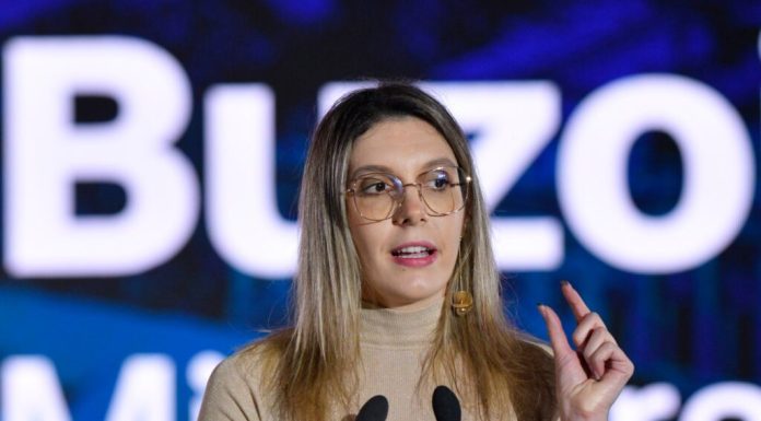 Diana Buzoianu: Ministerul Mediului a obținut o victorie în primă instanță legată de drumul din pădurea Băneasa