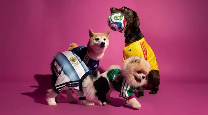 Cupa Mondială 2026: Adidas lansează o colecţie de tricouri ale echipelor naţionale, pentru câini