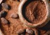 Cum au reușit cultivatorii de cacao din Bolivia să țină piept febrei aurului. Agricultura ecologică a învins industria minieră