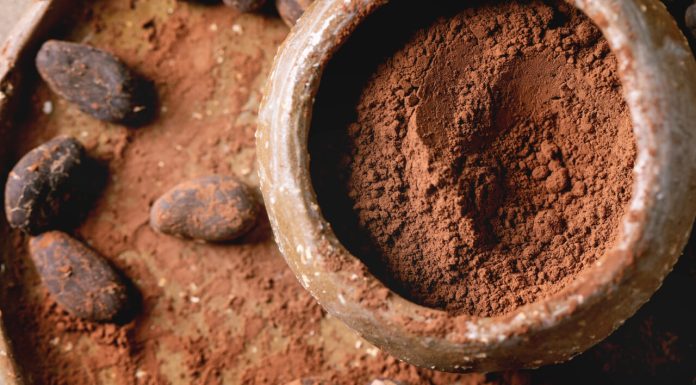 Cum au reușit cultivatorii de cacao din Bolivia să țină piept febrei aurului. Agricultura ecologică a învins industria minieră