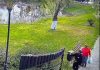 Primarul din Găeşti a sesizat Poliţia, pentru a identifica şi sancţiona două pdersoane filmate când sustrăgeau dintr-un parc florile abia plantate – VIDEO