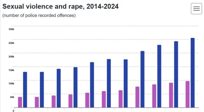 Eurostat: Violenţa sexuală şi infracţiunile de viol în UE au crescut în ultimii 10 ani / Între 2014 şi 2024, infracţiunile de violenţă sexuală au crescut cu 94%, iar cele de viol cu 150% / Infracţiunile de corupţie, în creştere