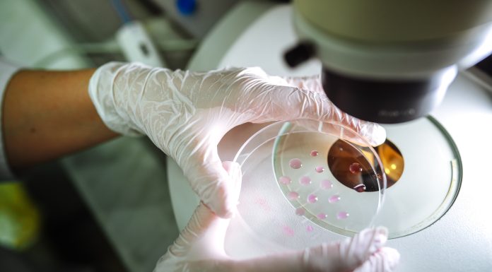 Procedură în premieră mondială. Un bărbat din Oslo s-a vindecat de HIV: „Parcă am câștigat la loterie de două ori”