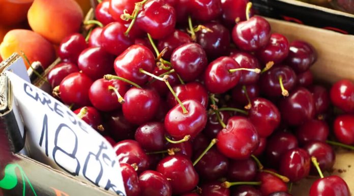 E timpul pentru rate: au apărut cireșele și costă 180 de lei kg