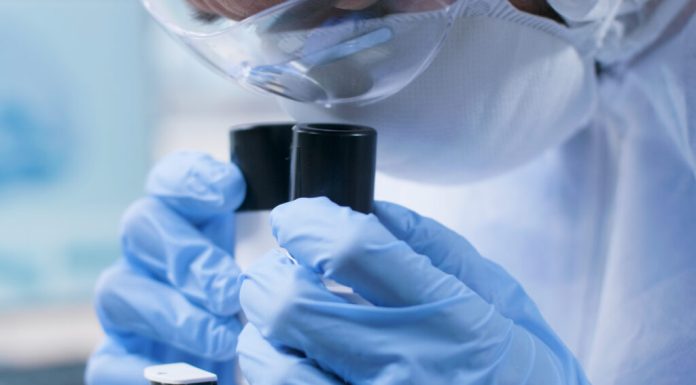 Bacteria „mâncătoare de tumori” care le devorează din interior: ce arată un nou studiu belgian