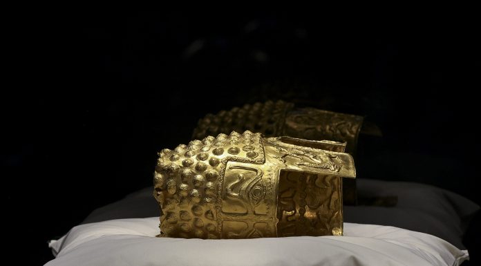 Urmele descoperite pe Coiful de Coțofenești după aducerea în țară. Semnalul de alarmă tras de specialiști