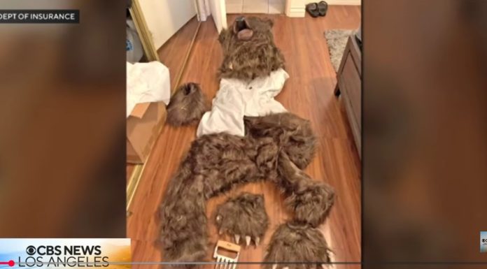 Fraudă în asigurări cu mașini de lux. Daune provocate în costum de urs