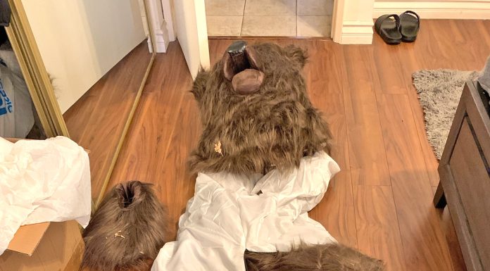 Trei persoane, condamnate în California pentru fraudă în asigurări cu maşini de lux şi un costum de urs