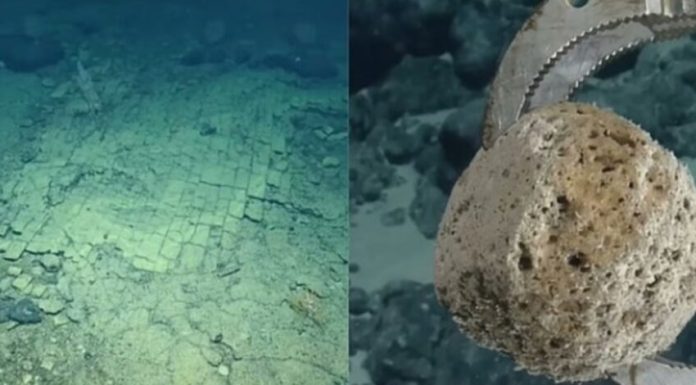 Descoperire uluitoare pe fundul Pacificului: Alee pavată cu dale galbene