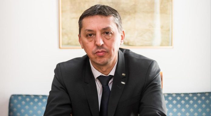 Daniel David: Şcoala mentor – o soluţie ignorată pentru inechităţile din educaţie