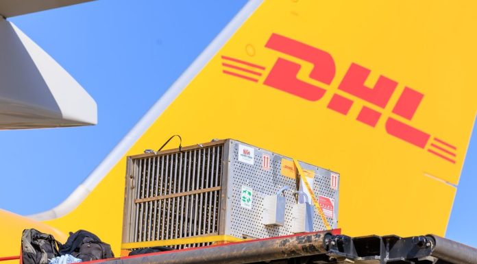 DHL Supply Chain intră pe piața din România