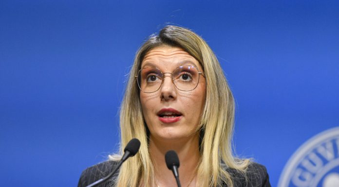 Soluția Dianei Buzoianu la criza politică. Ce spune despre alegeri anticipate