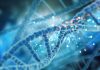 Biologul Craig Venter, pionier în secvențierea genomului uman, a murit la vârsta de 79 de ani