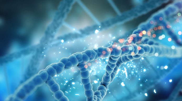 Biologul Craig Venter, pionier în secvențierea genomului uman, a murit la vârsta de 79 de ani