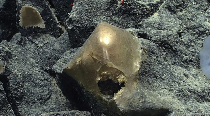 O sferă misterioasă de aur, descoperită pe fundul oceanului, a fost identificată după mai bine de doi ani