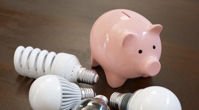 Electrica distribuie 100 milioane lei sub formă de dividende. Jumătate din sumă va ajunge la bugetul de stat