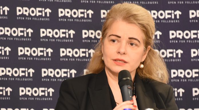 VIDEO IMM-urile au intrat într-o deteriorare vizibilă. Gabriela Folcuț, director executiv ARB:. Sunt domenii care au acum risc mare – Conferința Profit.ro IMM