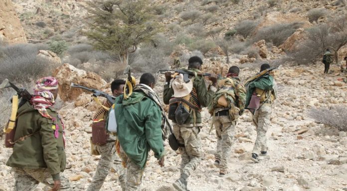 Somalia, noul front al grupării Statul Islamic. Ce dezastre a provocat în regiunile din nordul-estul țării