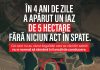 Balastiere ilegale în Olt, vizibile din satelit: „Crater de 5 hectare săpat în 4 ani, fără acte”