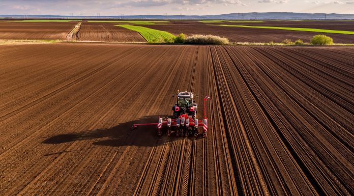 România e a șasea putere agricolă din UE, dar a ajuns să importe semnițe: „Finanțăm cercetarea altor state membre”