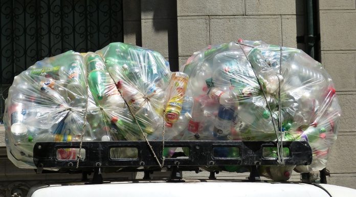 Românii au mers în număr mare la returnat de ambalaje GRAFIC