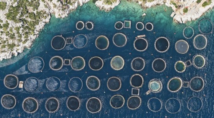 Criză ecologică în Grecia: deșeuri din ferme abandonate ajung în mare