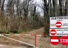 Cum au reacționat locuitorii din cartierul de lângă Pădurea Băneasa după închiderea drumului forestier pentru trafic auto. Ce vor face în continuare
