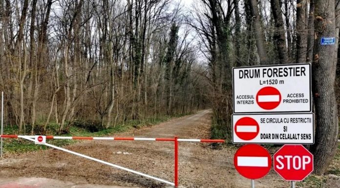 Cum au reacționat locuitorii din cartierul de lângă Pădurea Băneasa după închiderea drumului forestier pentru trafic auto. Ce vor face în continuare