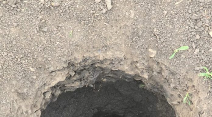 Groapă de 10 metri adâncime care emană clor, găsită într-o localitate din Neamț