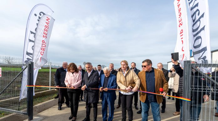 O nouă companie își cere insolvența. Interagroaliment, parte din Grup Șerban Holding, reclamă dificultăți financiare