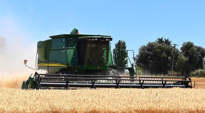 5 șocuri electrocutează agricultura României. Cel mai grav dezechilibru structural din ultimii 30 de ani. Se înmulțesc insolvențele