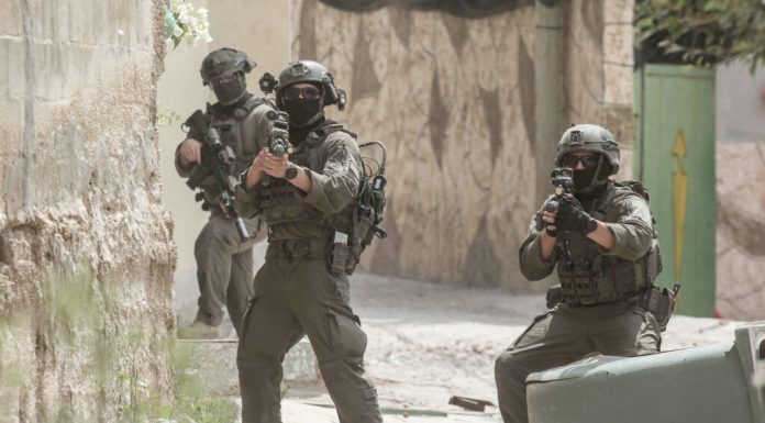 Șeful armatei israeliene avertizează trupele cu privire la jafuri