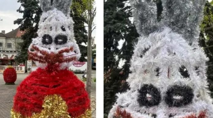 Five nights at Freddy’s în Maramureș. Baia Mare, invadată de iepurași de speriat copiii