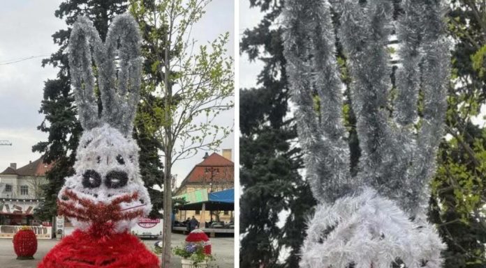 Iepurași horror amplasați în centrul Municipiului Baia Mare aprind spiritele printre localnici / „Te doare mintea cum arată”