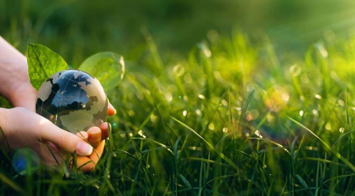 Ziua Planetei Pământ 2026, marcată pe 22 aprilie: semnificație, origine și evenimente globale