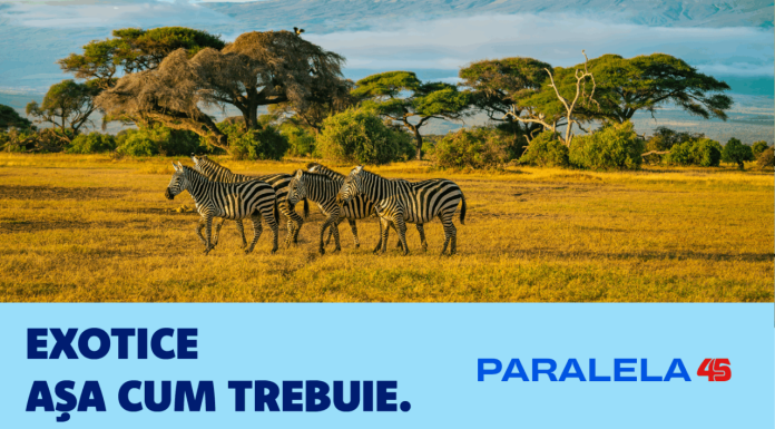 (P) Paralela45 a schimbat jocul în turismul exotic din România. Dreamliner charter exclusiv și o vacanță pe care nu ai mai văzut-o până acum